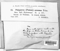 Image Associated With the Occurence